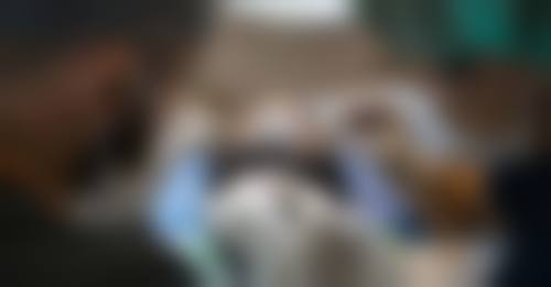 河南郑州百禾植发正规吗