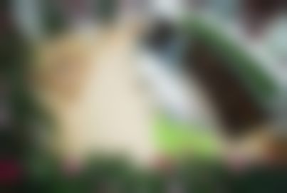 张啸医生项目优势