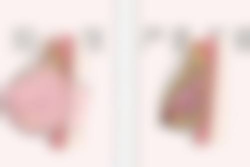 阜新安琪美整形医院医生简介