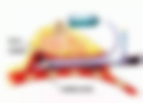 淄博修形美林医疗美容门诊部地址在哪里
