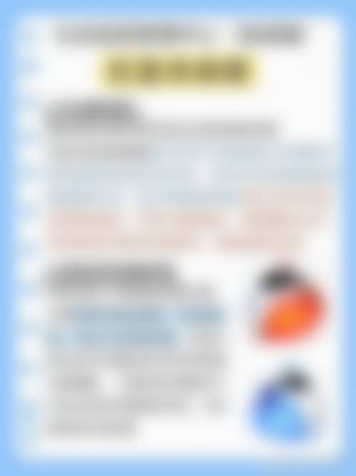 擅长项目详解