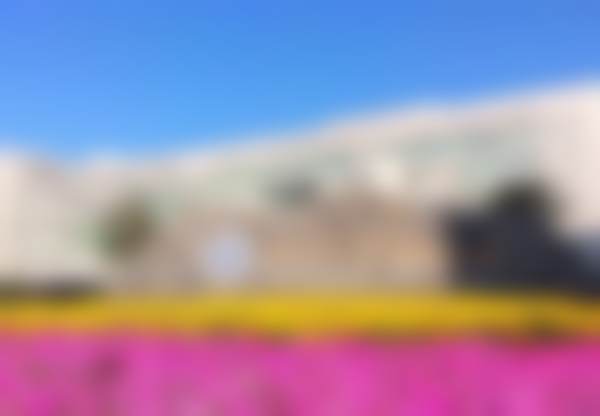 龙云医生简介口碑如何