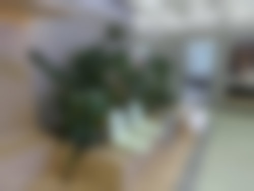 北京纯粹医疗美容诊所
