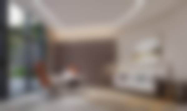刘昭政医生简介项目优势