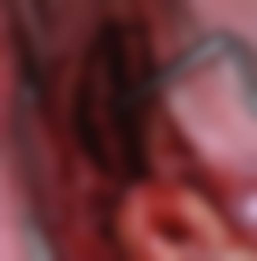 诊疗特色总结