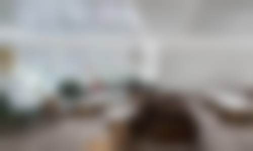 设备与环境介绍——国内外精良技术保护