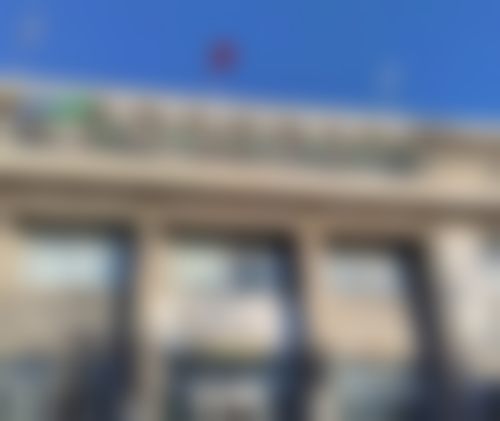 苏虹医生简介挂号方式