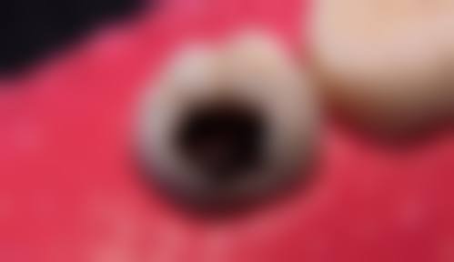 预约优惠活动
