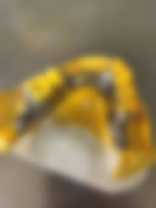 刘佳丽医生在呼和浩特至美口腔主要擅长哪些项目?